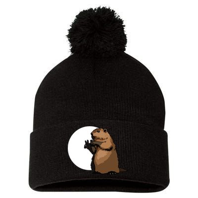 Groundhog Day Shadow Puppet Funny Gift Pom Pom 12in Knit Beanie