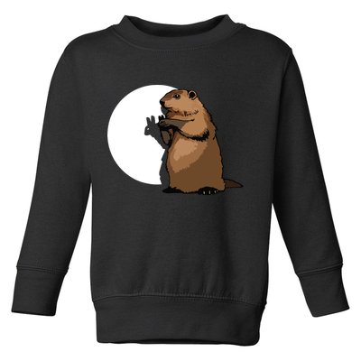 Groundhog Day Shadow Puppet Funny Gift Toddler Sweatshirt