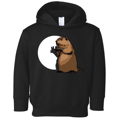 Groundhog Day Shadow Puppet Funny Gift Toddler Hoodie