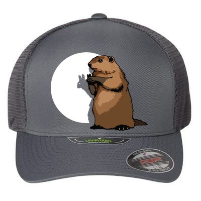 Groundhog Day Shadow Puppet Funny Gift Flexfit Unipanel Trucker Cap