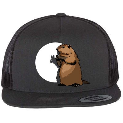 Groundhog Day Shadow Puppet Funny Gift Flatbill Hat