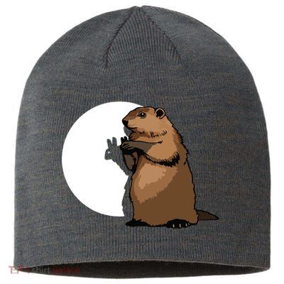 Groundhog Day Shadow Puppet Funny Gift Sustainable Beanie