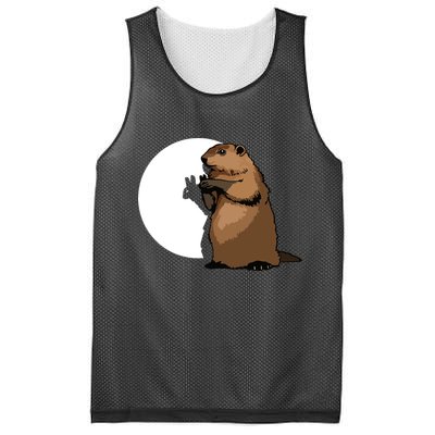 Groundhog Day Shadow Puppet Funny Gift Mesh Reversible Basketball Jersey Tank
