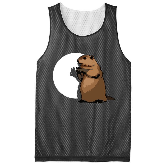 Groundhog Day Shadow Puppet Funny Gift Mesh Reversible Basketball Jersey Tank