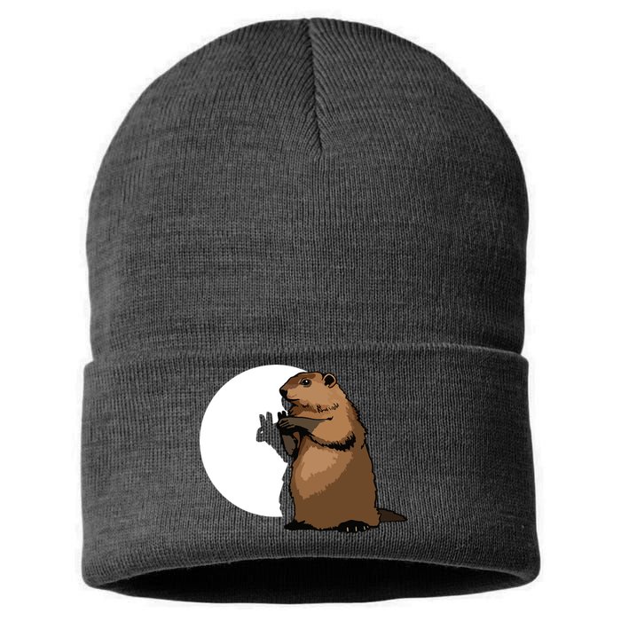 Groundhog Day Shadow Puppet Funny Gift Sustainable Knit Beanie