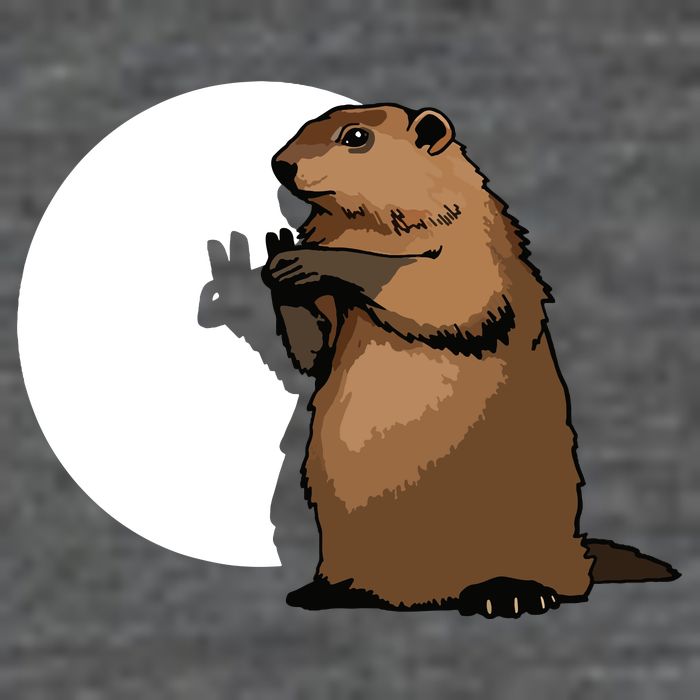 Groundhog Day Shadow Puppet Funny Gift 25L Jumbo Tote