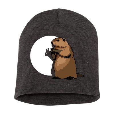 Groundhog Day Shadow Puppet Funny Gift Short Acrylic Beanie
