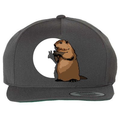 Groundhog Day Shadow Puppet Funny Gift Wool Snapback Cap