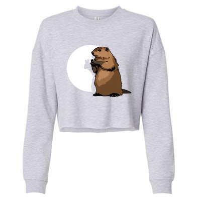 Groundhog Day Shadow Puppet Funny Gift Cropped Pullover Crew