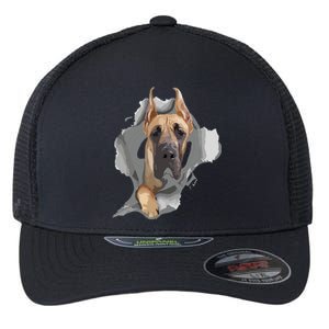 Great Dane Shirts Great Dane Lover Shirts Great Dane Flexfit Unipanel Trucker Cap