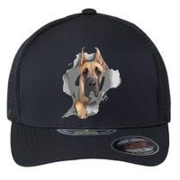 Great Dane Shirts Great Dane Lover Shirts Great Dane Flexfit Unipanel Trucker Cap