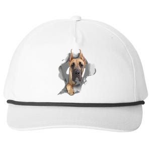 Great Dane Shirts Great Dane Lover Shirts Great Dane Snapback Five-Panel Rope Hat