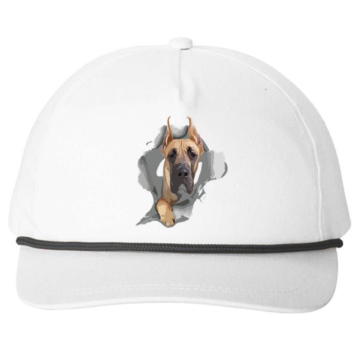 Great Dane Shirts Great Dane Lover Shirts Great Dane Snapback Five-Panel Rope Hat