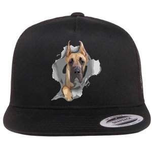 Great Dane Shirts Great Dane Lover Shirts Great Dane Flat Bill Trucker Hat