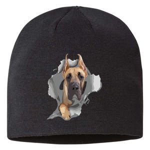 Great Dane Shirts Great Dane Lover Shirts Great Dane Sustainable Beanie