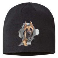 Great Dane Shirts Great Dane Lover Shirts Great Dane Sustainable Beanie