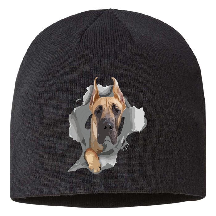 Great Dane Shirts Great Dane Lover Shirts Great Dane Sustainable Beanie