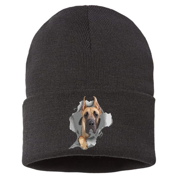 Great Dane Shirts Great Dane Lover Shirts Great Dane Sustainable Knit Beanie