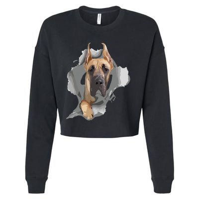 Great Dane Shirts Great Dane Lover Shirts Great Dane Cropped Pullover Crew