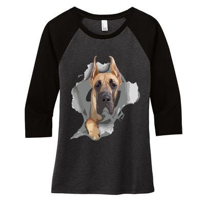 Great Dane Shirts Great Dane Lover Shirts Great Dane Women's Tri-Blend 3/4-Sleeve Raglan Shirt