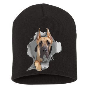 Great Dane Shirts Great Dane Lover Shirts Great Dane Short Acrylic Beanie