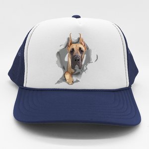 Great Dane Shirts Great Dane Lover Shirts Great Dane Trucker Hat