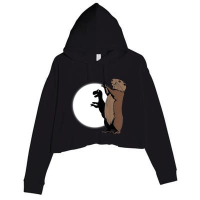 GroundhogS Dinosaur Shadow Puppet Funny Groundhog Day Crop Fleece Hoodie