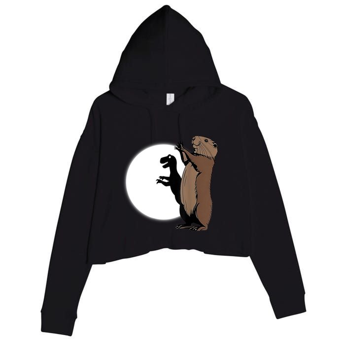 GroundhogS Dinosaur Shadow Puppet Funny Groundhog Day Crop Fleece Hoodie