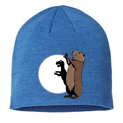 GroundhogS Dinosaur Shadow Puppet Funny Groundhog Day Sustainable Beanie