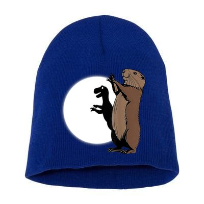 GroundhogS Dinosaur Shadow Puppet Funny Groundhog Day Short Acrylic Beanie