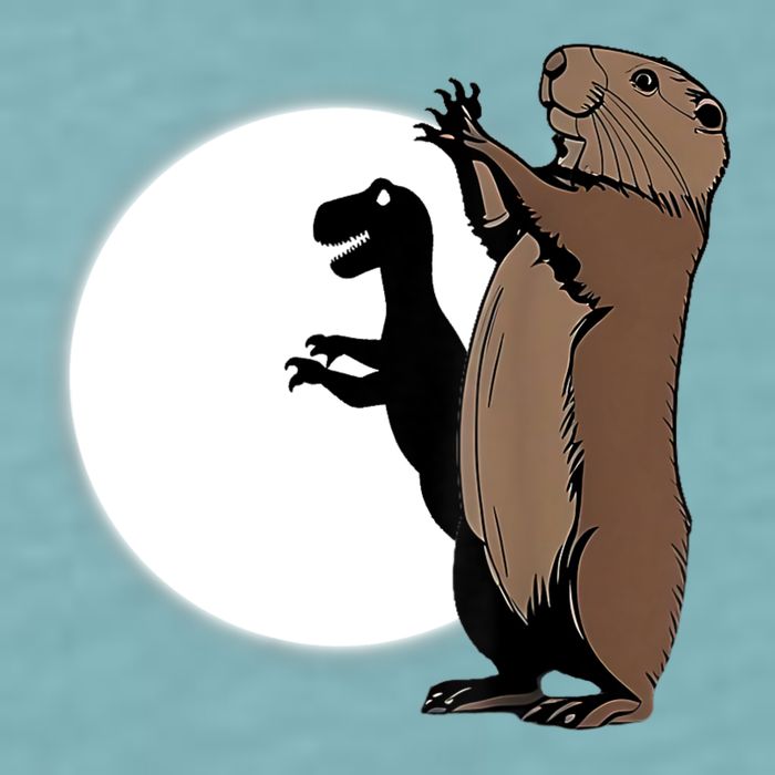 GroundhogS Dinosaur Shadow Puppet Funny Groundhog Day Sueded Cloud Jersey T-Shirt
