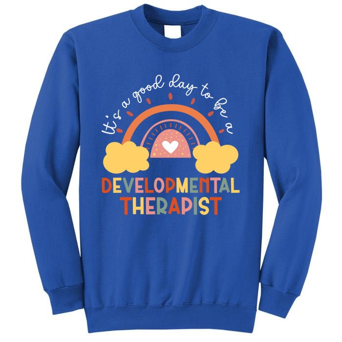 Good Day To Be Developtal Therapist Rainbow Therapy Cute Gift Sweatshirt