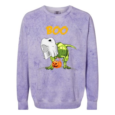 Ghost Dinosaur T Rex Funny Boo Halloween Pumpkin Colorblast Crewneck Sweatshirt