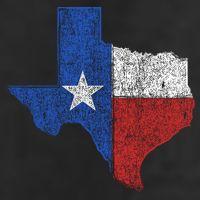 Grunge Distressed Texas Logo Adult Drive Performance Visor