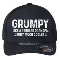 Grumpy Definition Tee Like A Regular Grandpa Only Cooler Flexfit Unipanel Trucker Cap