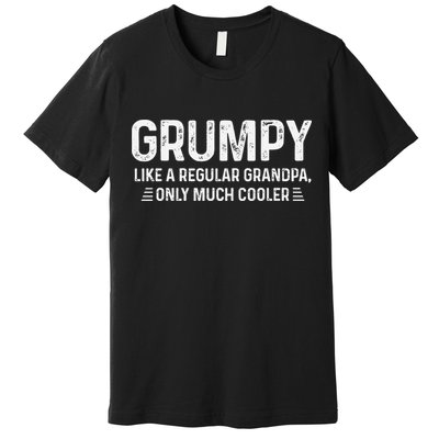 Grumpy Definition Tee Like A Regular Grandpa Only Cooler Premium T-Shirt
