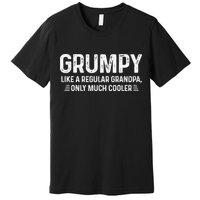 Grumpy Definition Tee Like A Regular Grandpa Only Cooler Premium T-Shirt