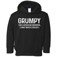Grumpy Definition Tee Like A Regular Grandpa Only Cooler Toddler Hoodie