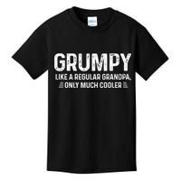 Grumpy Definition Tee Like A Regular Grandpa Only Cooler Kids T-Shirt