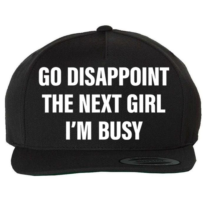 Go Disappoint The Next Girl IM Busy Funny Sarcastic Saying Wool Snapback Cap