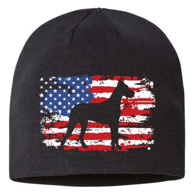 Great Dane Vintage American Flag Sustainable Beanie