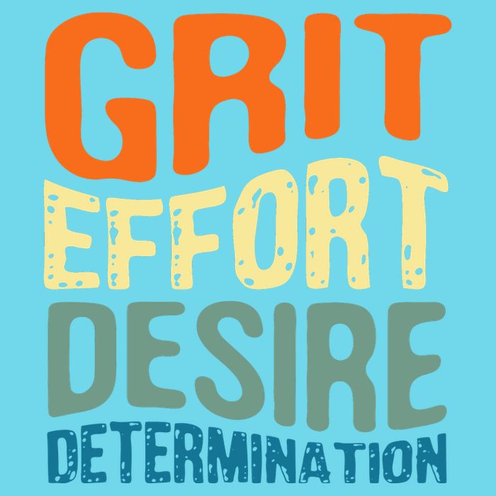 Grit Effort Desire Determination Premium T-Shirt