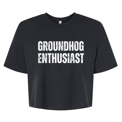 Groundhog Enthusiast Bella+Canvas Jersey Crop Tee