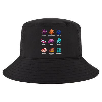 Gulper Eel Isopod Jellyfish Nautilus Octopus Hagfish Gift Cool Comfort Performance Bucket Hat