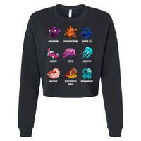 Gulper Eel Isopod Jellyfish Nautilus Octopus Hagfish Gift Cropped Pullover Crew