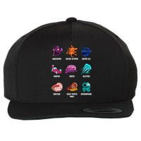 Gulper Eel Isopod Jellyfish Nautilus Octopus Hagfish Gift Wool Snapback Cap