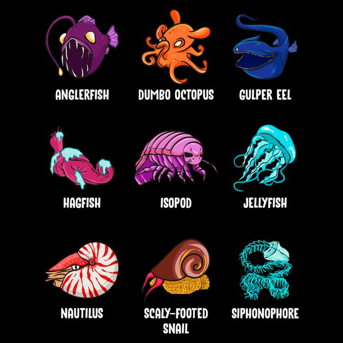 Gulper Eel Isopod Jellyfish Nautilus Octopus Hagfish Gift Wool Snapback Cap