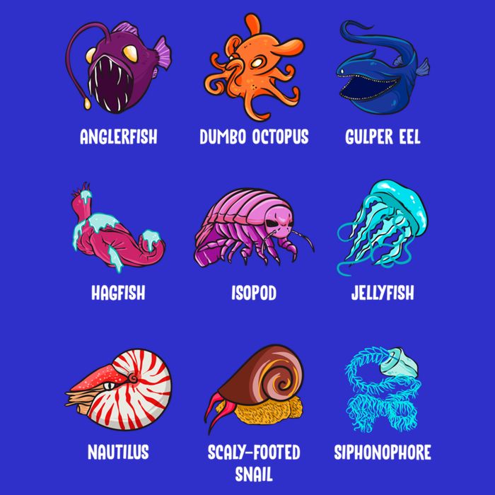 Gulper Eel Isopod Jellyfish Nautilus Octopus Hagfish Gift 16 in Basic Backpack