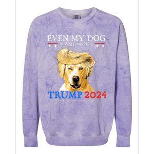 Groovy Even My Dog Is Waiting For Trump 2024 Funny Dog  Colorblast Crewneck Sweatshirt