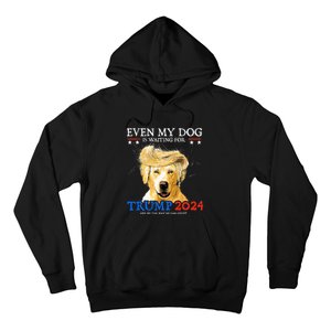 Groovy Even My Dog Is Waiting For Trump 2024 Funny Dog  Hoodie